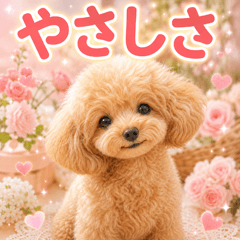 とびだす★長文 やさしさ トイプードル♡犬