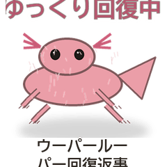 ウーパールーパー回復返事
