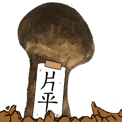 松茸研究家片平さんのマツタケ