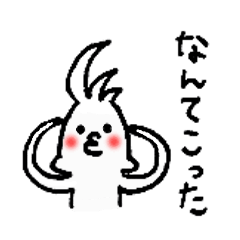 インコのピュイちゃん 1