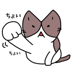 ねこねこねっこねこ