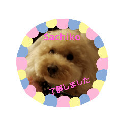 さちこ応援します