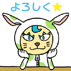 ネコフクのニャーニャス