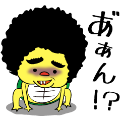 かめ吉くん