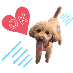 トイプードル のみかんスタンプ2