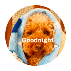 あいるくん　スタンプ