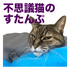 ダニのすたんぷ