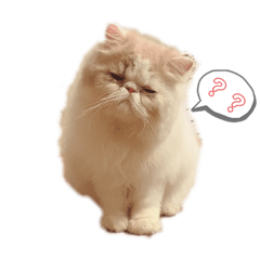 自分で爪を切れない軍団