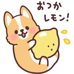 まるまるコーギー フルーツとコーギー