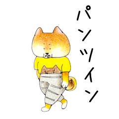 30を越えたジョシーバの日常〜パンツイン〜