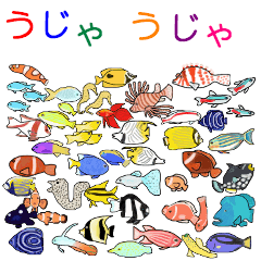 熱帯魚うじゃうじゃ