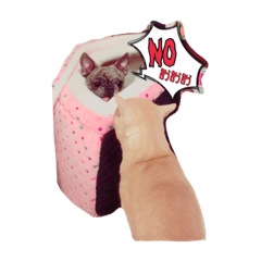 ラムさんと愉快な仲間達②