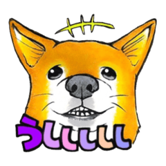 てんてこ、てん。〜てんと9匹の保護猫達〜