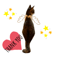 ふくにゃんこスタンプ