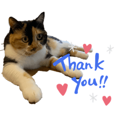 かわいいムクちゃんスタンプ2