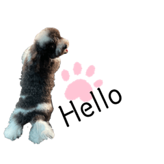 Annie_20210510183751