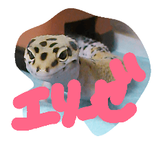 エリーゼスタンプ