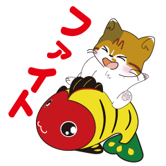 神社猫　ちゃこ