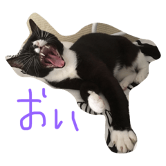 プーさまるーさまぞっけさま