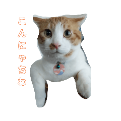 こたろうさまとこすずさまのスタンプ