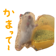 ティンちゃんのスタンプ