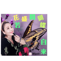 Miyuki_20211111010509