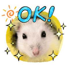 ハムスターパールホワイトのマロニーちゃん