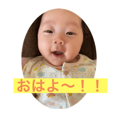 ひなちゃんまんまる