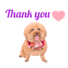 ルルイチコタマニウユ