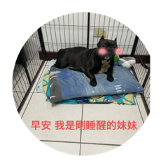 Cindy_20220320175703