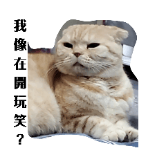 Tony Hua_20220401125934