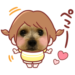 ⭐︎ceraスタンプ・①⭐︎