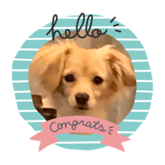 ビィビィ犬スタンプ