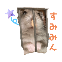 すみぃタンスタンプ