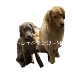 ハンナとアンジー