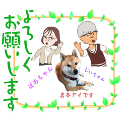 柴犬の岩本アイ