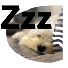 マルキー風太１