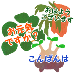 年中使える♡観葉植物　挨拶や日常会話