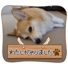 コーギーももちゃんスタンプ