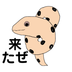 20連勤のウツボさん