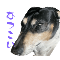 つかえる土佐弁小鉄