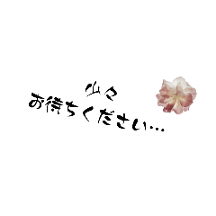 申し訳なさげのお花を添えて。