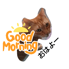 可愛すぎ日常生活で使うスタンプ