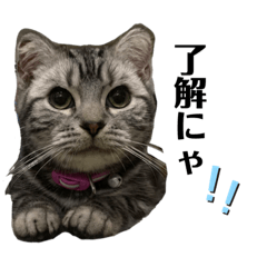 スタンプ　おびくん