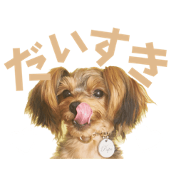 今日も元気なぷぷ君