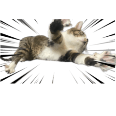 ヨサクとモキチとたまにチャゲ