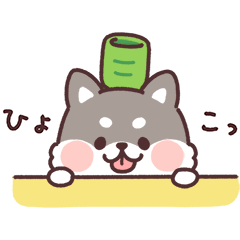 ころころ柴犬 和菓子と黒柴