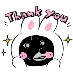 宙ポメラニアン？だぞ