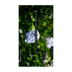 中原ストアいつのまにまに歌集①