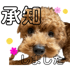 ひまさく挨拶スタンプ